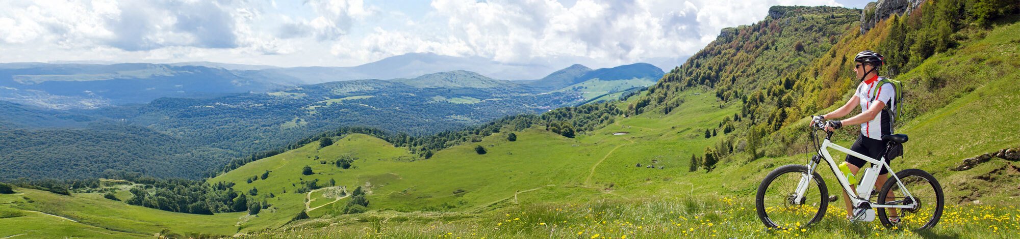 Eine grüne Alm mit Bergen im Hintergund und einem Radfahrer, der die Ausaicht genießt,